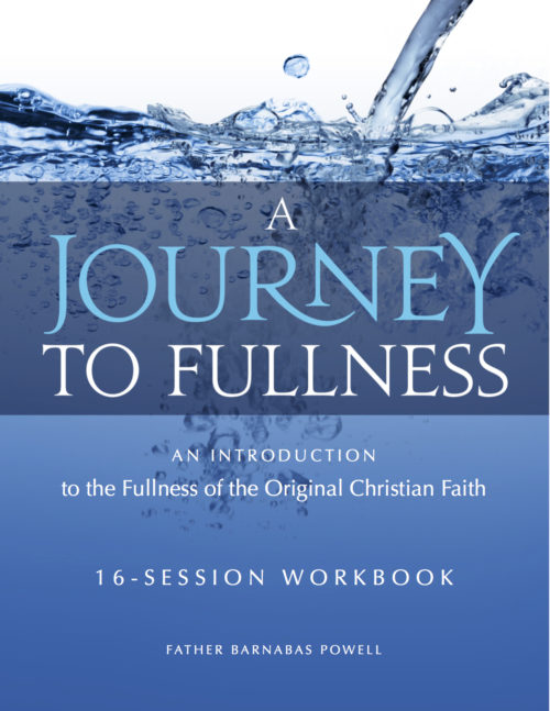 What a Great Gift Idea for your parish or Sunday School class or Youth Group!